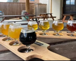 Taste and Tour at Local Breweries